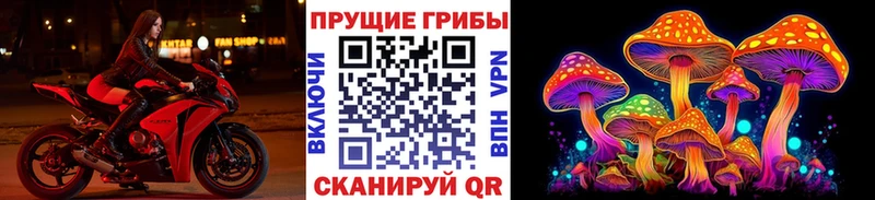 Галлюциногенные грибы ЛСД  KRAKEN ссылка  Чаплыгин 